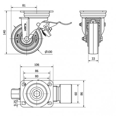 SV0021613 (1)