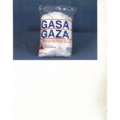 GASA PINTOR 130 GR ATGC102