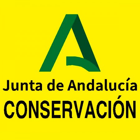 T. SERIGRAFIA 3C ESPALDA SACYR JUNTA ANDALUCIA EXTERIOR