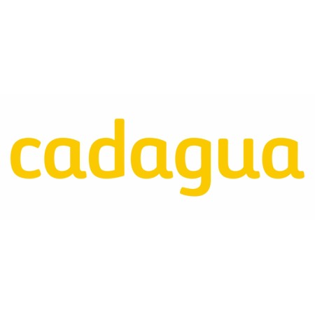 ADHESIVO CASCO 62X19MM "CADAGUA"