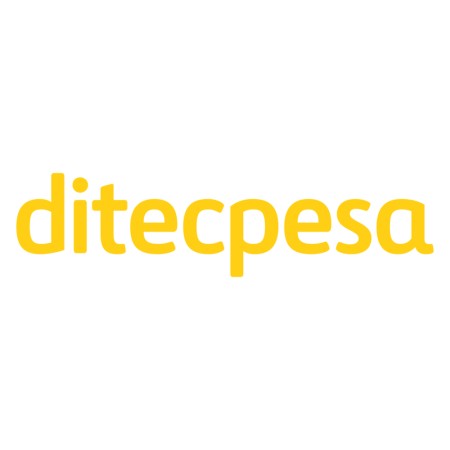 ADHESIVO CASCO 72X19MM "DITECPESA"
