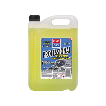 ANTICONGELANTE 30% PROFESSIONAL 5 LT