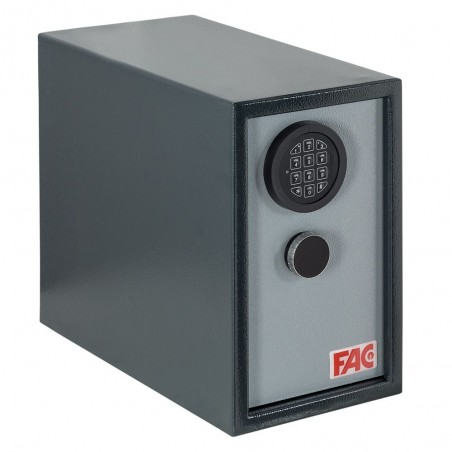 FAC013061